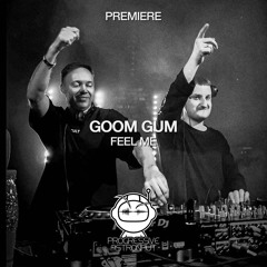 PREMIERE: Goom Gum - Feel Me (Original Mix) [Avtook Records]