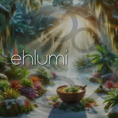 ehlumi - Meditation Soup (Preview)