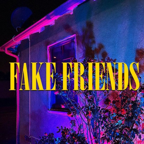 ~ F a k e F r i e n d s