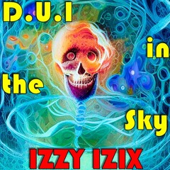 D.U.I in the Sky - (Cover)