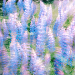 im done trying to be perfect