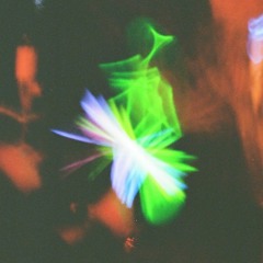 acid daddy @ diane's hunting club 2024