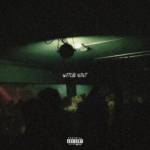 Watchu Want (prod. TEEVOLATILE)