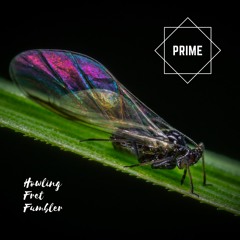 Prime