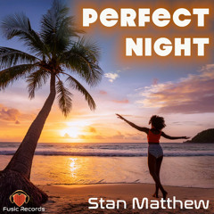 Perfect Night (The Did He! DJ Mix)