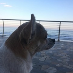 Dance In My Shoes (Lilas sunset dance mix)