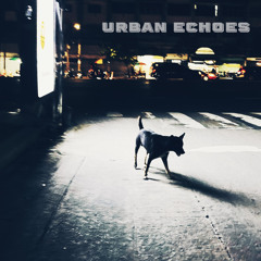 Urban echoes