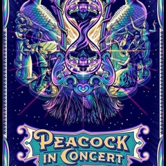 Dr. Peacock - Illusion of Time