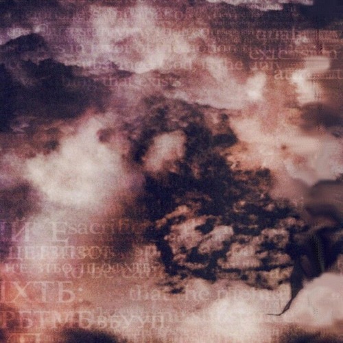 ＩＤＥＮＴＩＴＹ