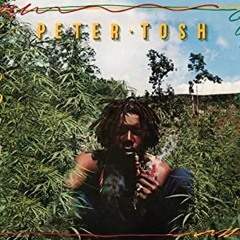 Peter Tosh - Legalize it (Kinky Electric Noise Remix)