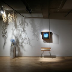 Une histoire de vent ...