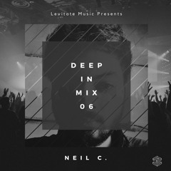 Deep In Mix 06 with Neil C.