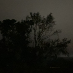 Laying In The Grave (ilyhxppypills x tokyosdownfall x Yung ØD)