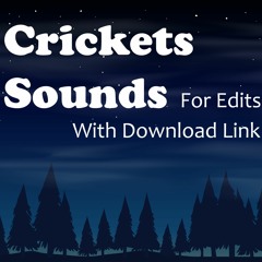Stream The Soundist music | Listen to songs, albums, playlists for free on  SoundCloud