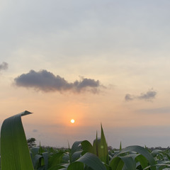 Sasya Arkhisna - Mantan Kelaran Official Music Live