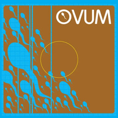 SNS Project - Get Up (Rulers Of The Deep Reprise)