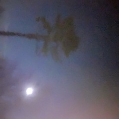 Prod.(ICYTWAT) @ NIGHT