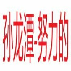 孙龙潭 - 努力的