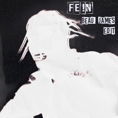 FE!N (Beau James Edit)