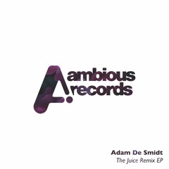 Adam De Smidt- The Juice (Beatsbyhand Remix)