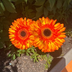 Mato Ruells - Home Alone Vol.2