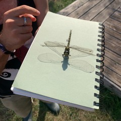 Siel [live] (Radio Sofa @ HORS-SOL Festival 2025)