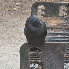 Spit Intent/Baja Blast Brandon Sanderson KNOT ROBERT JORDAN WHO TF IS FORTUONA DENNA DENA