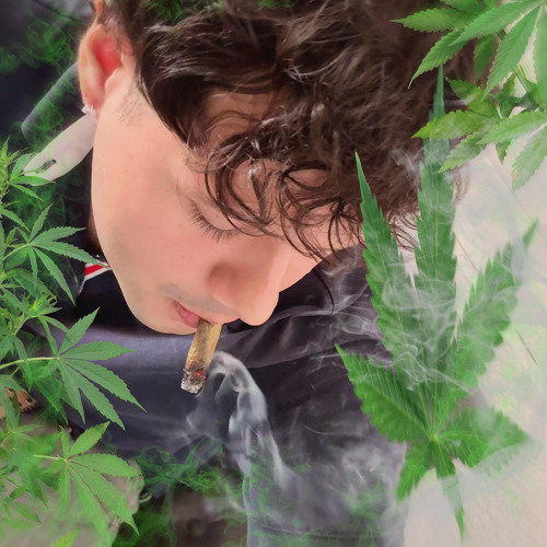 marihuana (@1gardeniaz)