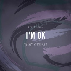 AO Beats x Manilla Killa ft. Shaylen - I'm OK [BVNJÖ REMIX]