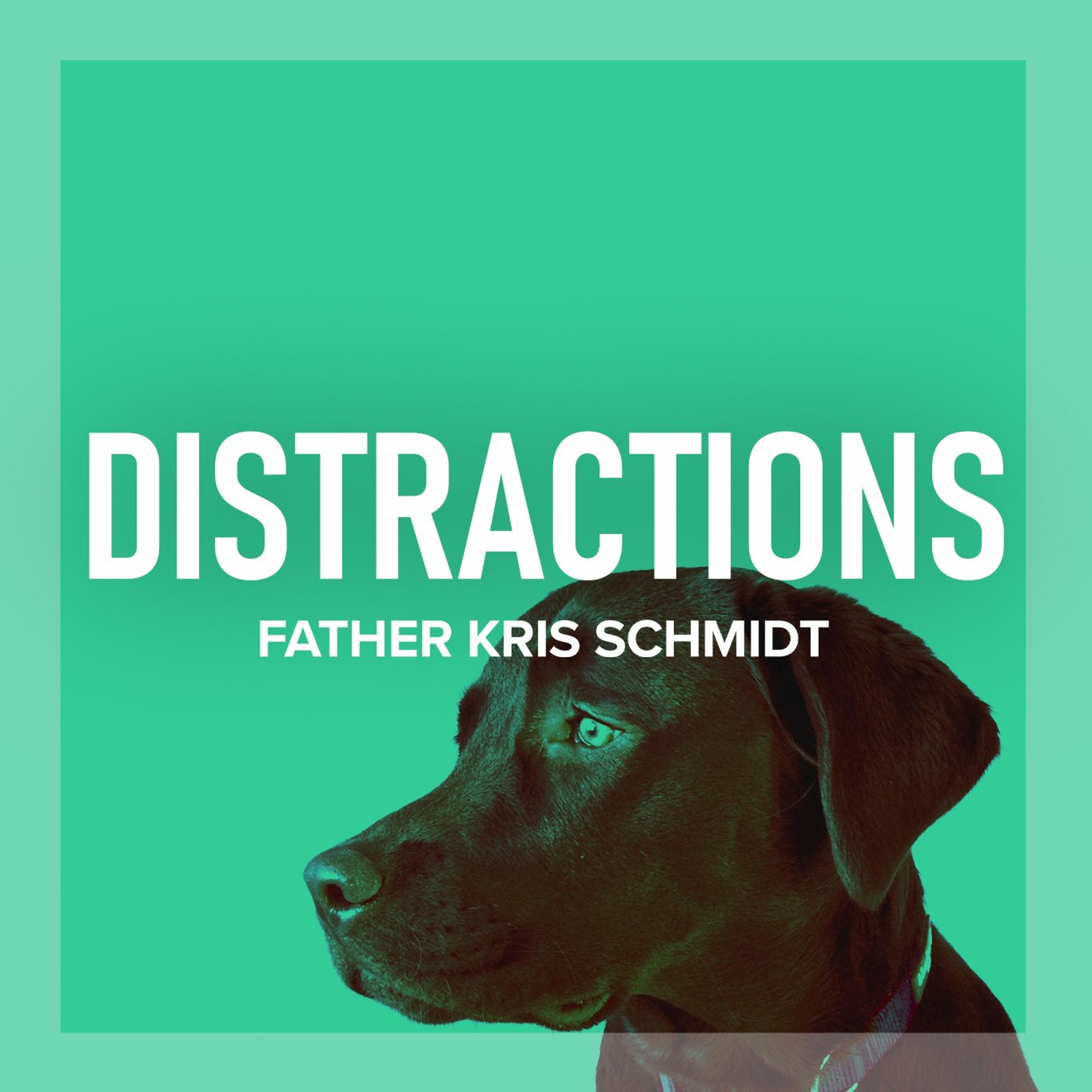 Fr. Kris Schmidt Homilies