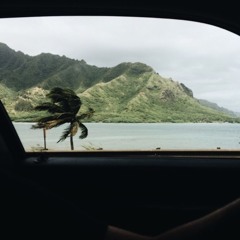 Did you like her in the morning - Niki (cover)