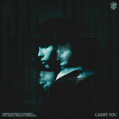 Martin Garrix/Thirdparty - Carry You(Paul Wilson Remix)
