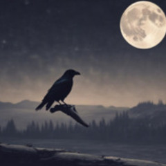 Ravens Soul