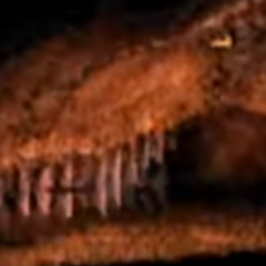 dino_2