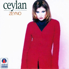Yazık Ettiniz