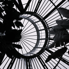 Withdrawn and Untamed