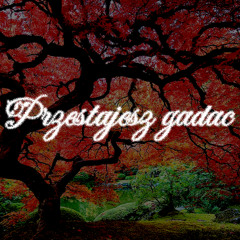 przestajesz gadac (prod. branwen)