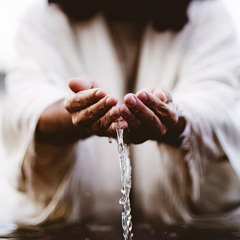 nothing but nonsense