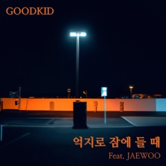 억지로 잠에 들 때 (Feat. JAEWOO)