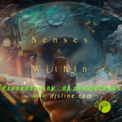 Senses Within (Extended Mix)