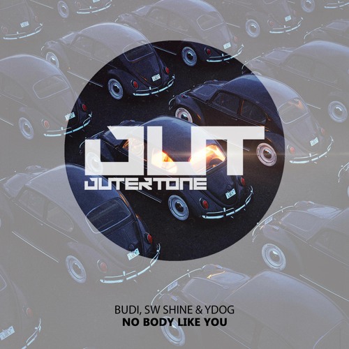 BuDI, SW Shine & Ydog - No Body Like You [Outertone Free Release]