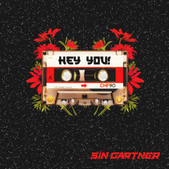 Sin Gartner - hey you!