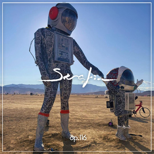 Serafin Sinfonia Op. 116 -  gingembrę *live - Tales from Burningman