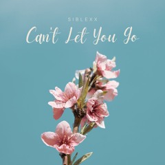 Siblexx - Can't Let You Go