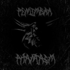 PENUMBRA PHANTASM (Snippet, Vision Crew)