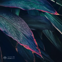 Triforce - The Harmonic Convergence (Ken Zo Remix) [Stone Seed]
