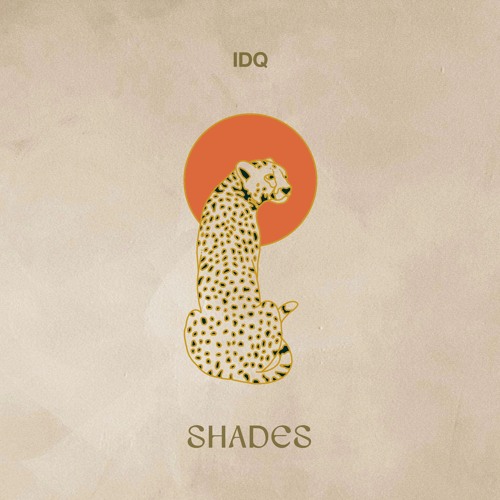 Premiere: IDQ - Shades