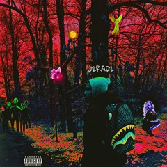 she chose me _1ncart