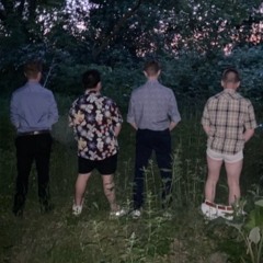 svensk student / bröllop / party schlager mix!