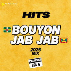HITS 6 | Bouyon-Jab Jab Mix 2025 (RAW)